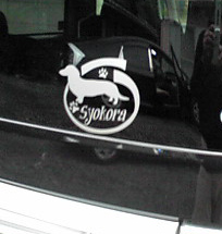 DOG IN CAR（犬が乗ってます）ステッカー 愛犬の名前入れます 　　　01_自動車（リアガラス）への貼り付け例