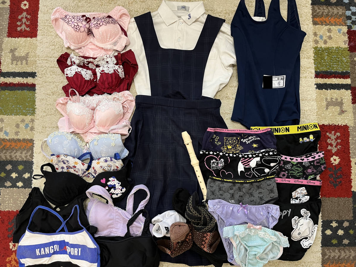 ECO♪JK中学生処分品♪ パンツ ブラジャー 制服 リコーダー 水着 訳あり ジャンク品 タンス整理品 断捨離