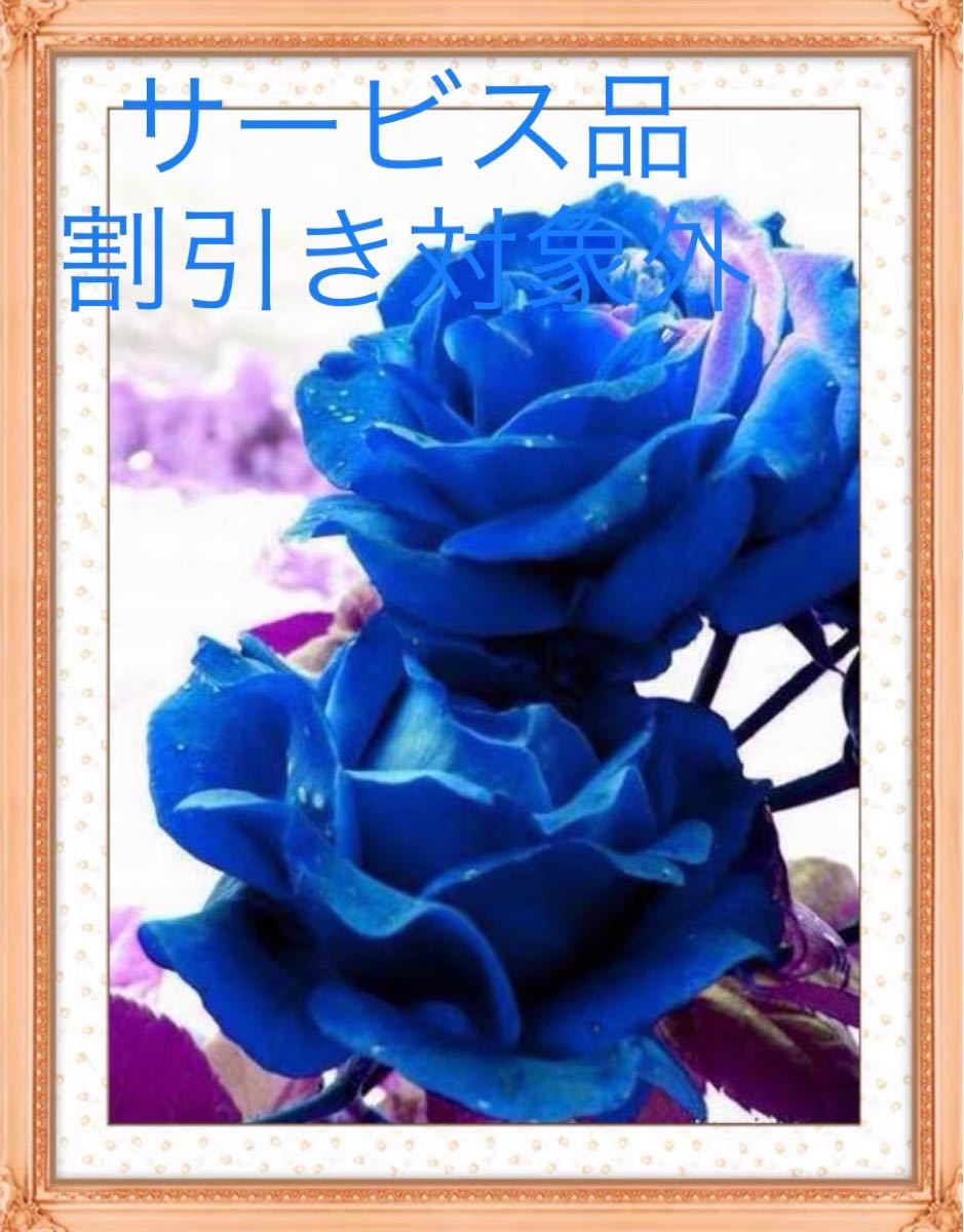 クロスステッチキット　青い薔薇(11CT、図案印刷あり)