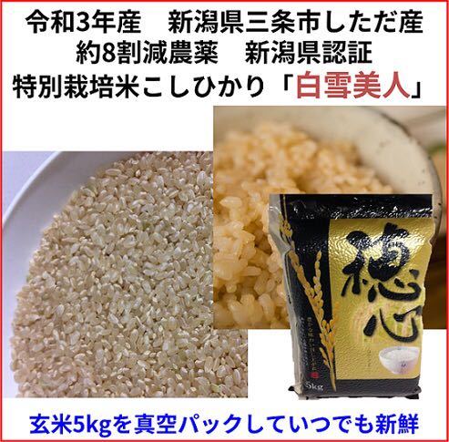 玄米真空パック令和3年　新潟県三条市しただ産　減農薬特別栽培米コシヒカリ10kg_画像1