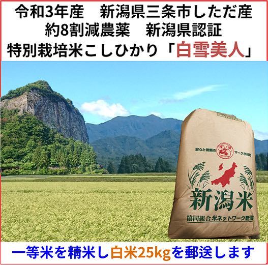 令和3年　新潟県三条市しただ産　減農薬　新潟県認証　特別栽培米コシヒカリ白米25kg 白雪美人　グルテンフリー　送料無料_画像1