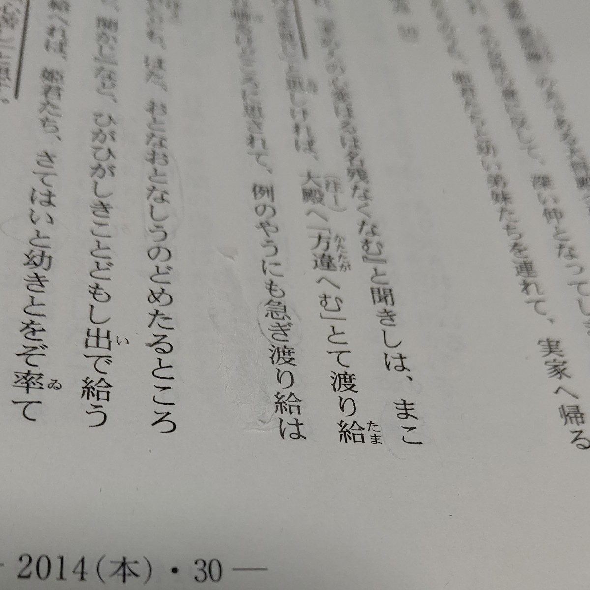 大学入試センター試験 過去問題集 国語 (２０１８) 駿台大学入試完全対策シリーズ／駿台予備学校 (編者)