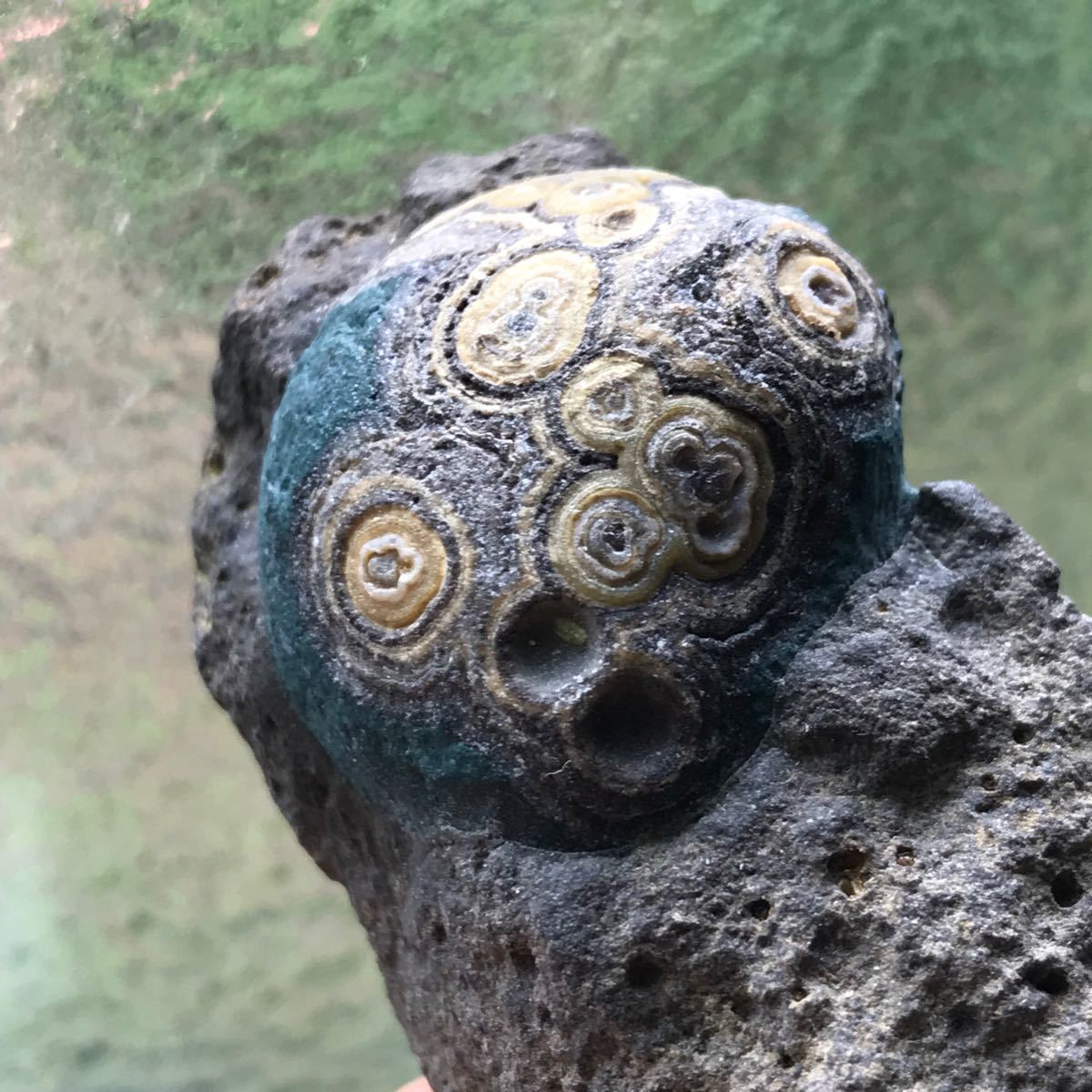 ゴビ石−624 ゴビ瑪瑙 原石 眼石 鉱物 標本