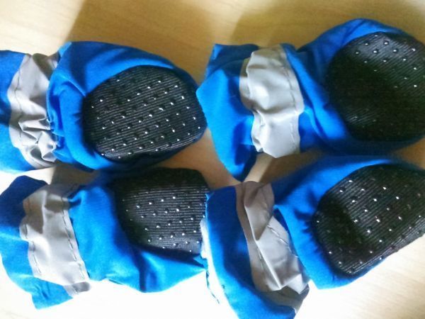  dog for rain shoes [ blue 2 number /3.5cm] softly .......! injury . bad . also spring summer rainy season small size dog rainwear boots boots [ blue ]