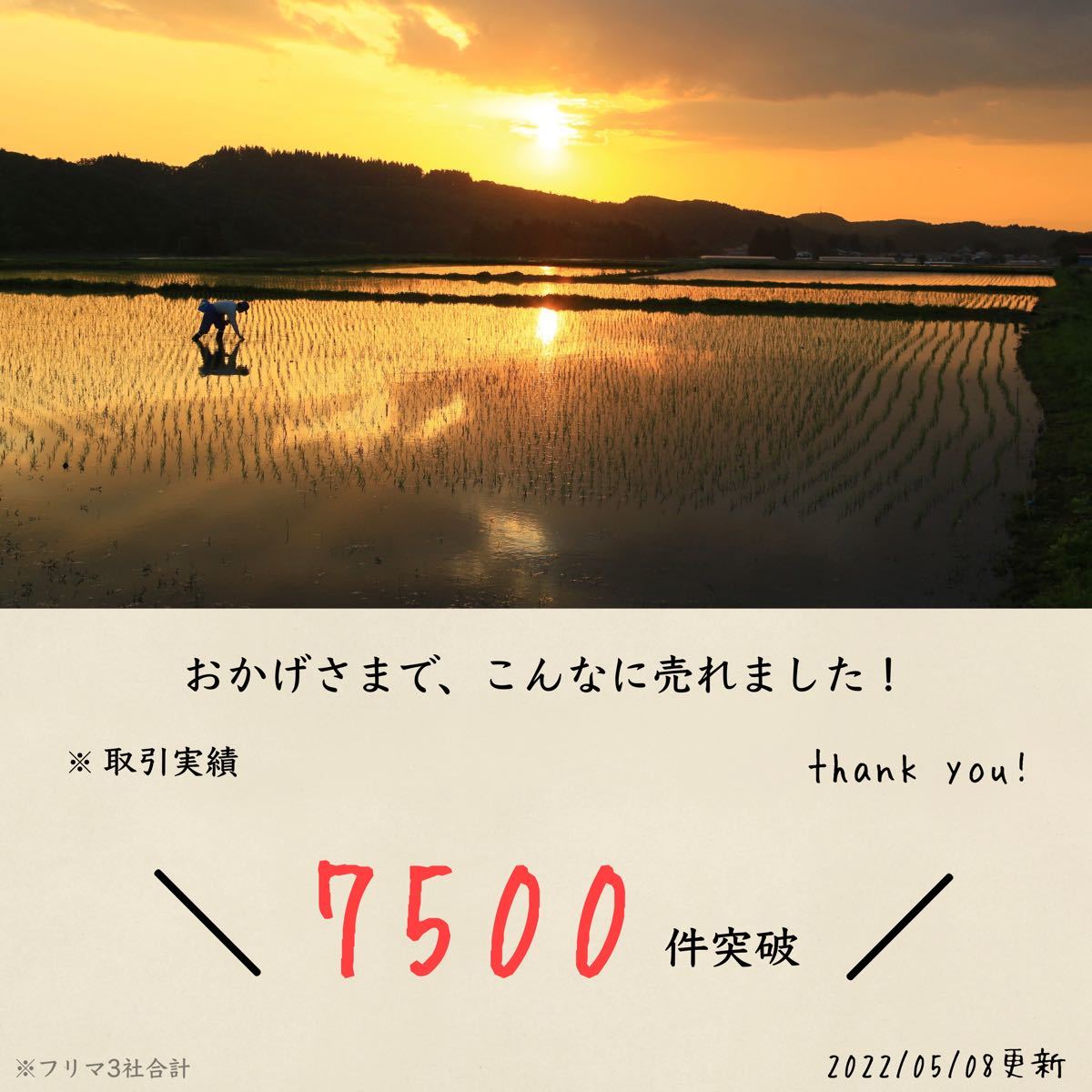 大容量】くず米 25kg 青米 小米 肥料 鳥の餌 飼料 玄米 お得 大容量】くず米 25kg 青米 小米 肥料 鳥の餌 飼料 玄米 お得