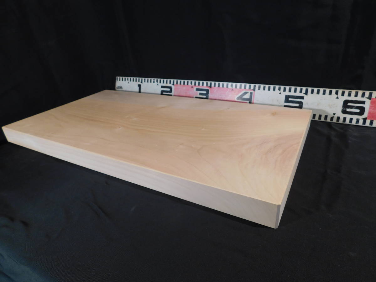 最大57%オフ! SANSHIN 作業台 ハーディワークデスク 500kgタイプ ライトグリーン 1800×900×H740 〔品番 :HWD50697TLG-SG〕 1111611 送料別途見積り,法人 事業所限定 cinemusic.net