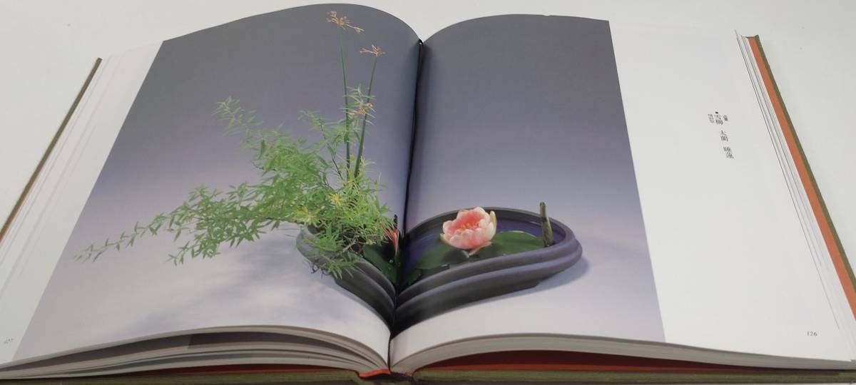  small ..2 pcs. set . flower 100 selection ..100 anniversary commemoration form compilation .book@ book photograph small ... research . compilation flower plant 