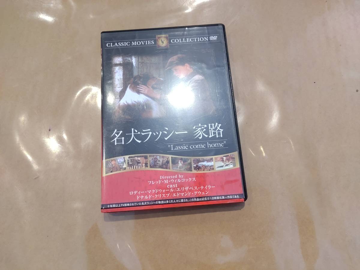 中古 DVD 名犬ラッシー 家路 ロディー・マクドウォール 他 ファーストトレーディング_画像1