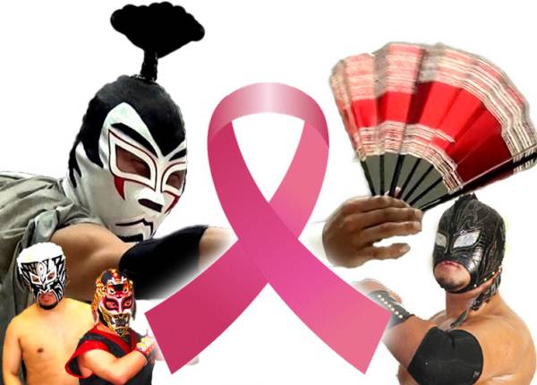 【紀(jì)州ぶんだらプロレス】ピンクリボン運動推進【旗上げ戦】