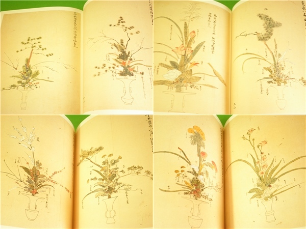 *. road natural flower [ Ikenobo .. Tachibana masterpiece compilation ] Ikenobo ....... Showa era 50 year *