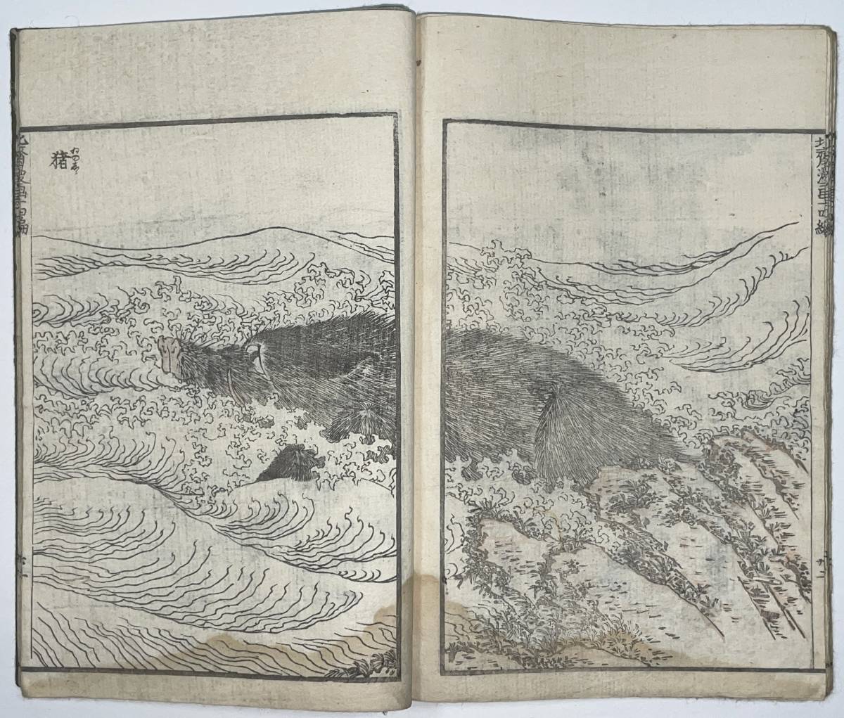 hana_desu15 北斎漫画 十四編 葛飾北斎 Hokusai 本物 浮世絵 木 hana_desu15 北斎漫画 十四編 葛飾北斎 Hokusai 本物 浮世絵 木