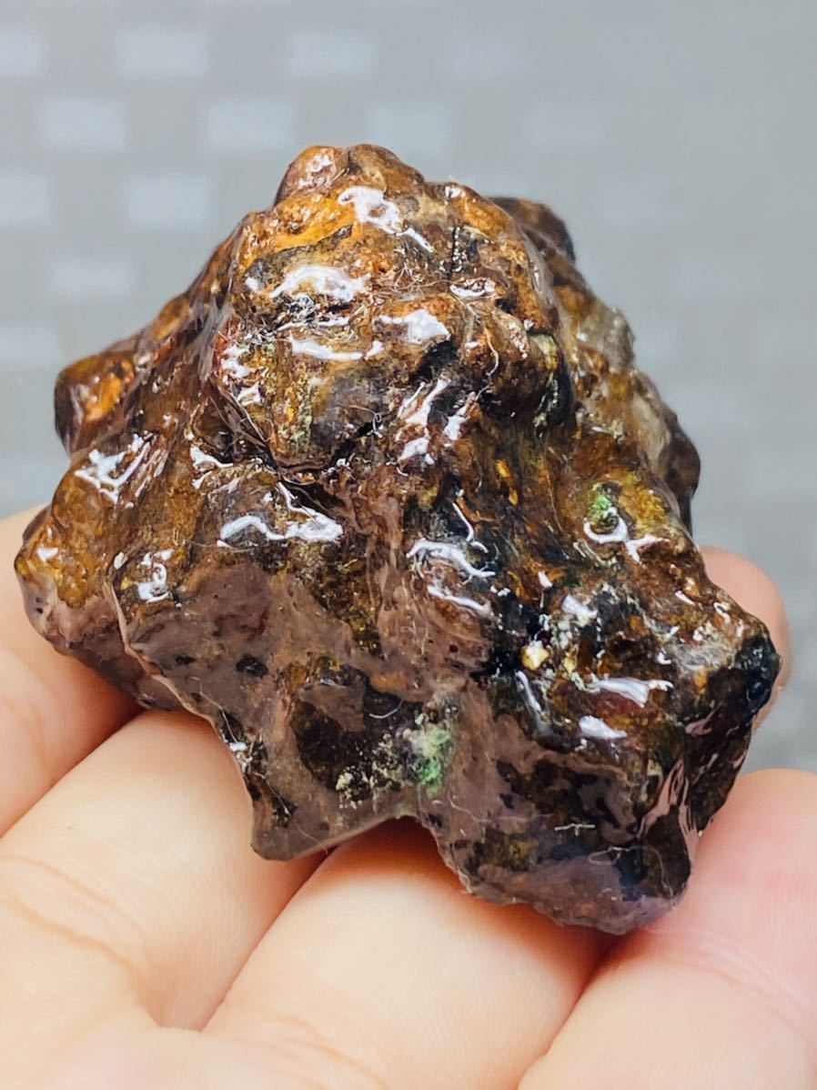 パラサイト隕石 232g セリコ隕石原石 希少 Bigサイズ 隕石 lbsrotulos.com