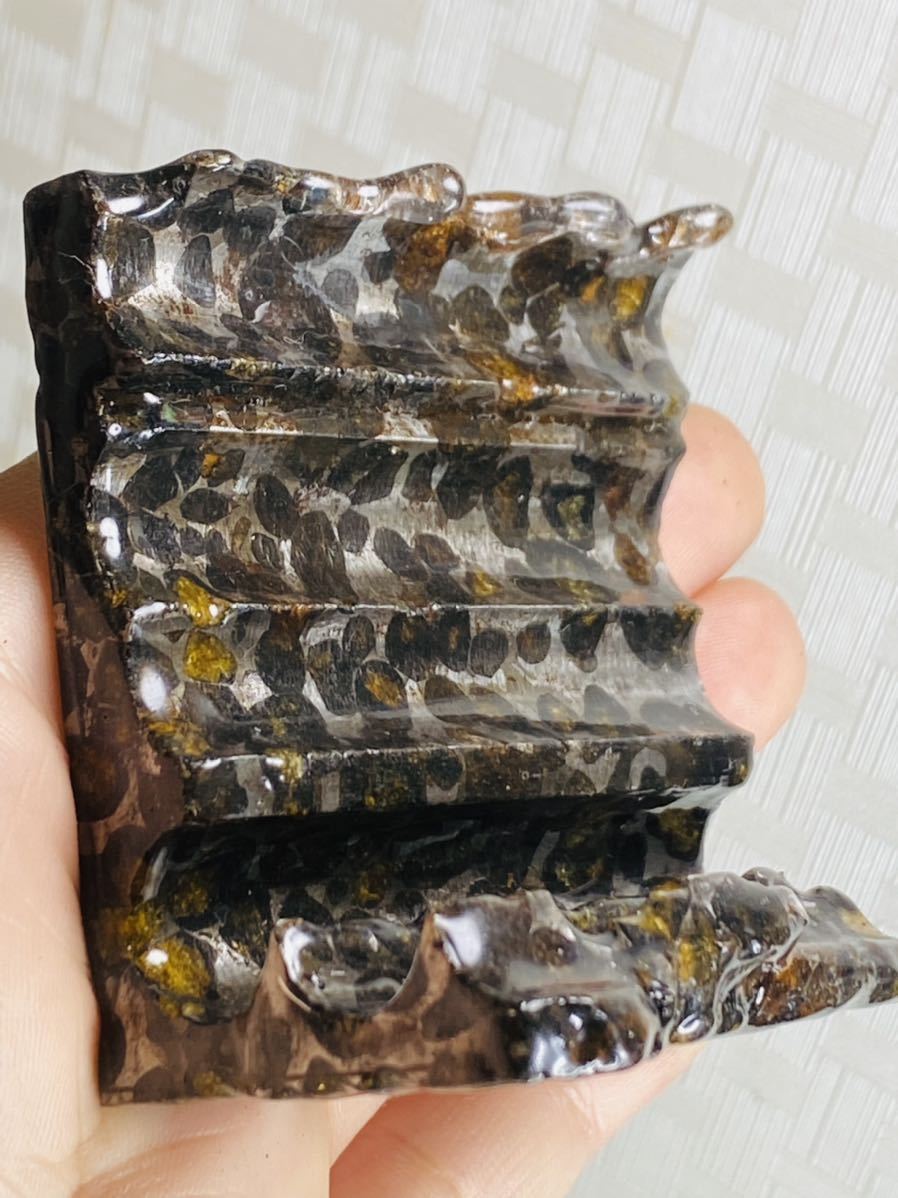 鑑別書付き パラサイト隕石 188g かんらん石綺麗 セリコ隕石 最高品質