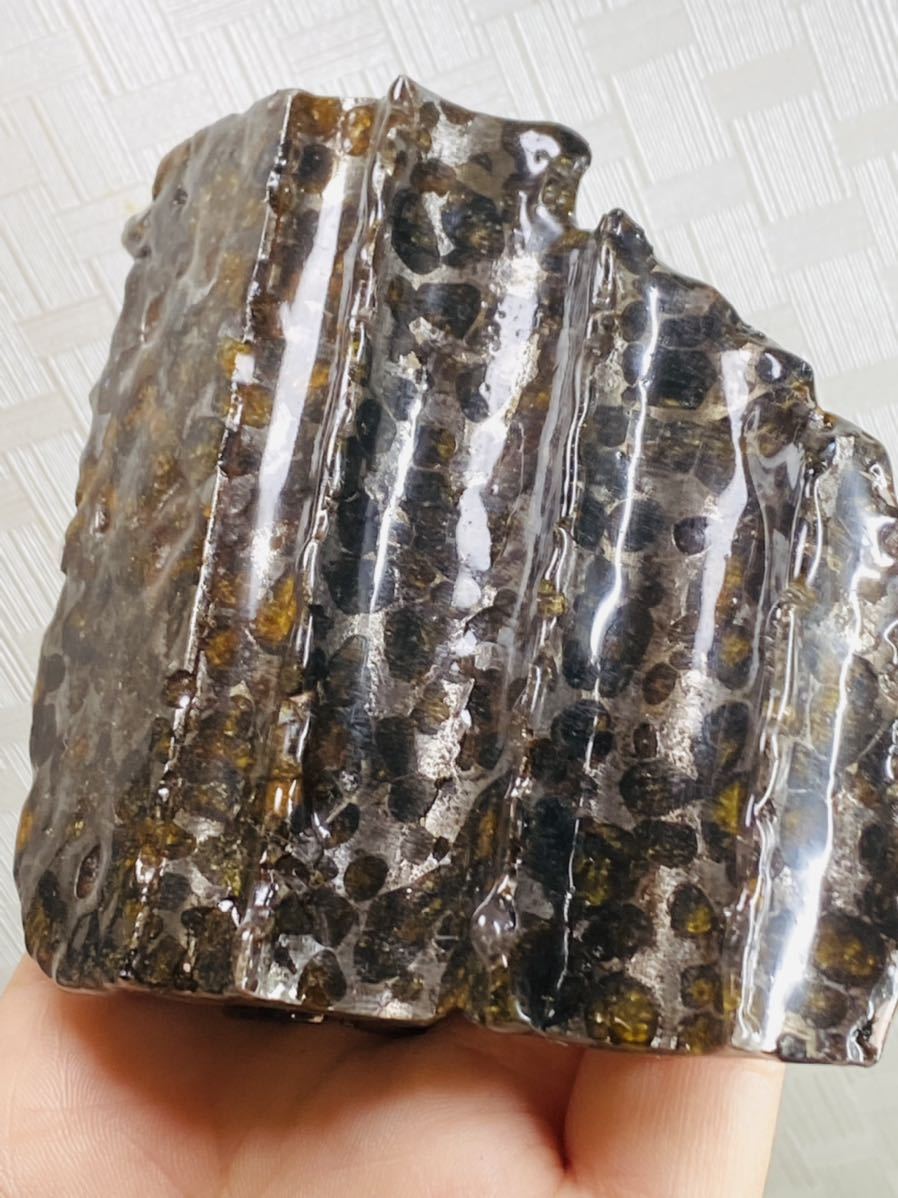 鑑別書付き】パラサイト隕石 280g メテオライト セリコ隕石 隕石 