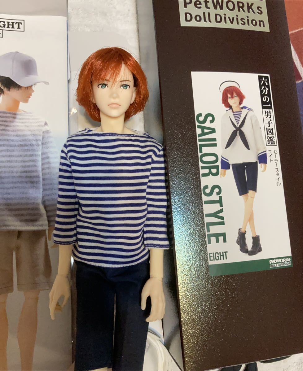 六分の一男子図鑑エイトセーラースタイル。ペットワークス販売、男子