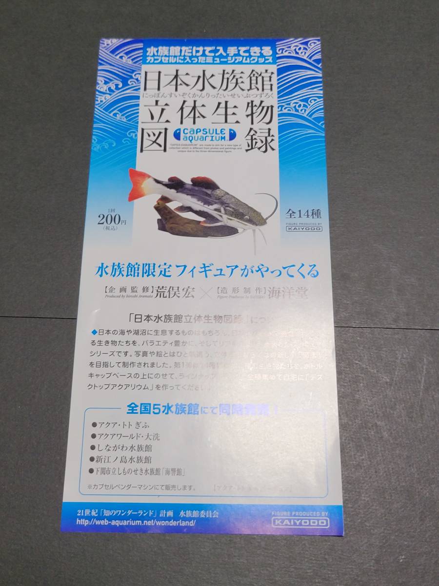 日本水族館立体生物図録　１４種フルコンプ　内袋未開封　ボーナスペンギン付き　アクア・トトぎふバージョン　海洋堂 _画像3