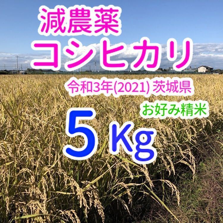 コシヒカリ 5kg 減農薬 茨城県 令和3年(2021) おこめ 白米(玄米可)_画像1