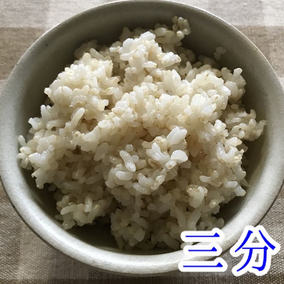 コシヒカリ 5kg 減農薬 茨城県 令和3年(2021) おこめ 白米(玄米可)_画像7