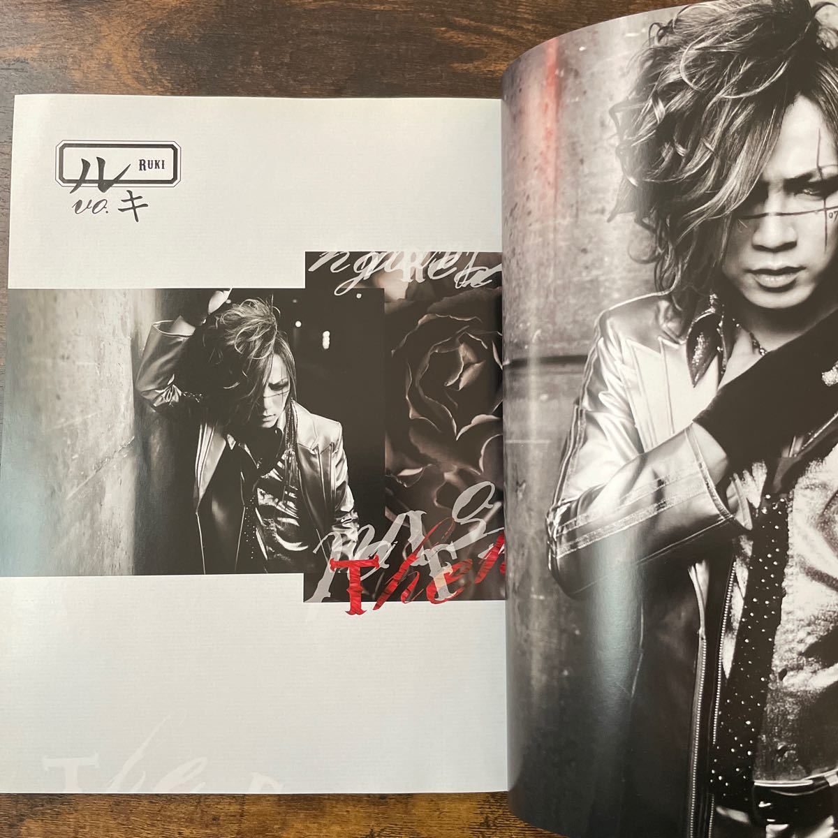 the GazettE / Zy mega edition #06       