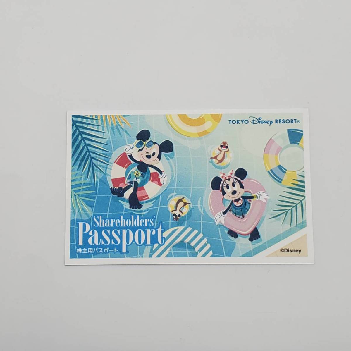 東京ディズニーリゾート 株主優待 オリエンタルランド パスポート 1枚【有効期間2023年6月末】_画像3