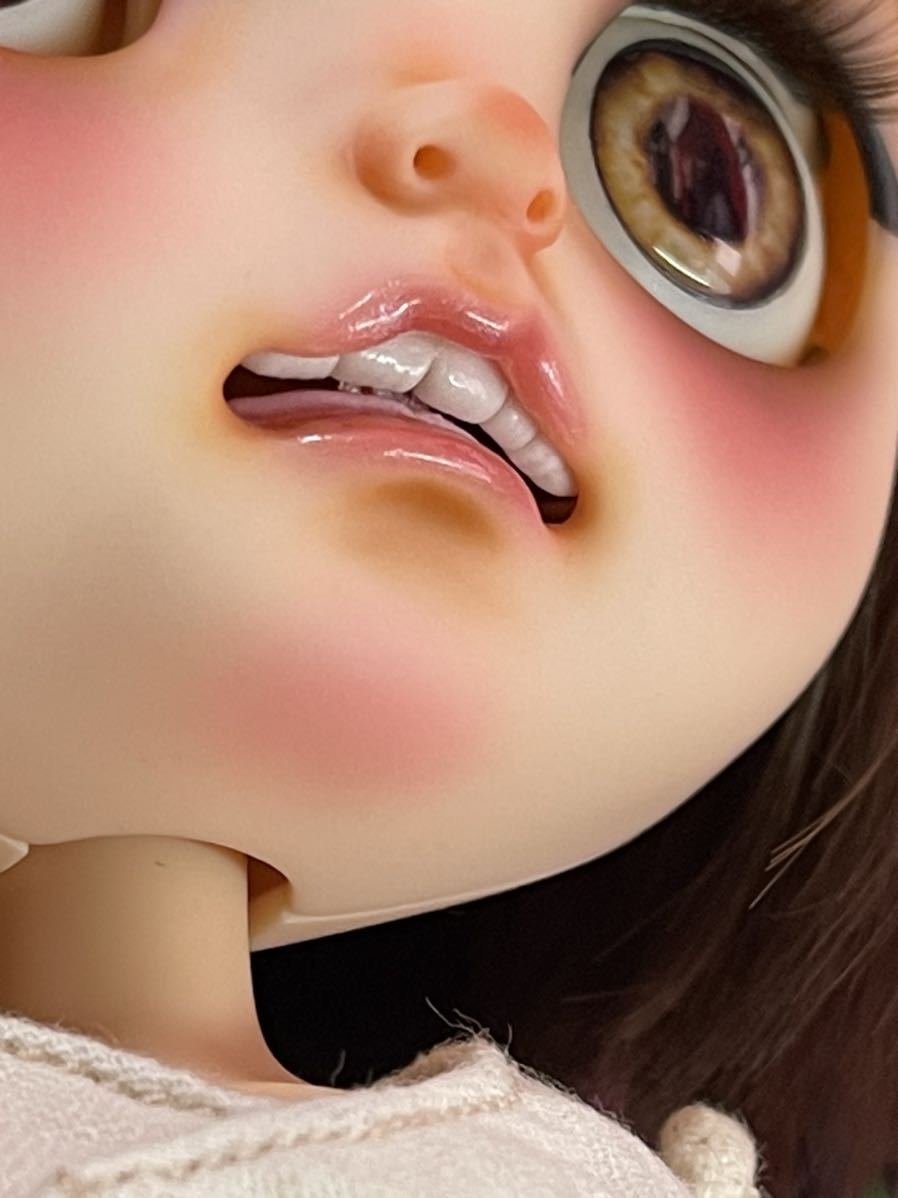 カスタムブライス MOHIDOLL ハローハーベスト Blythe CUSTOM ネオブライス doll_画像5