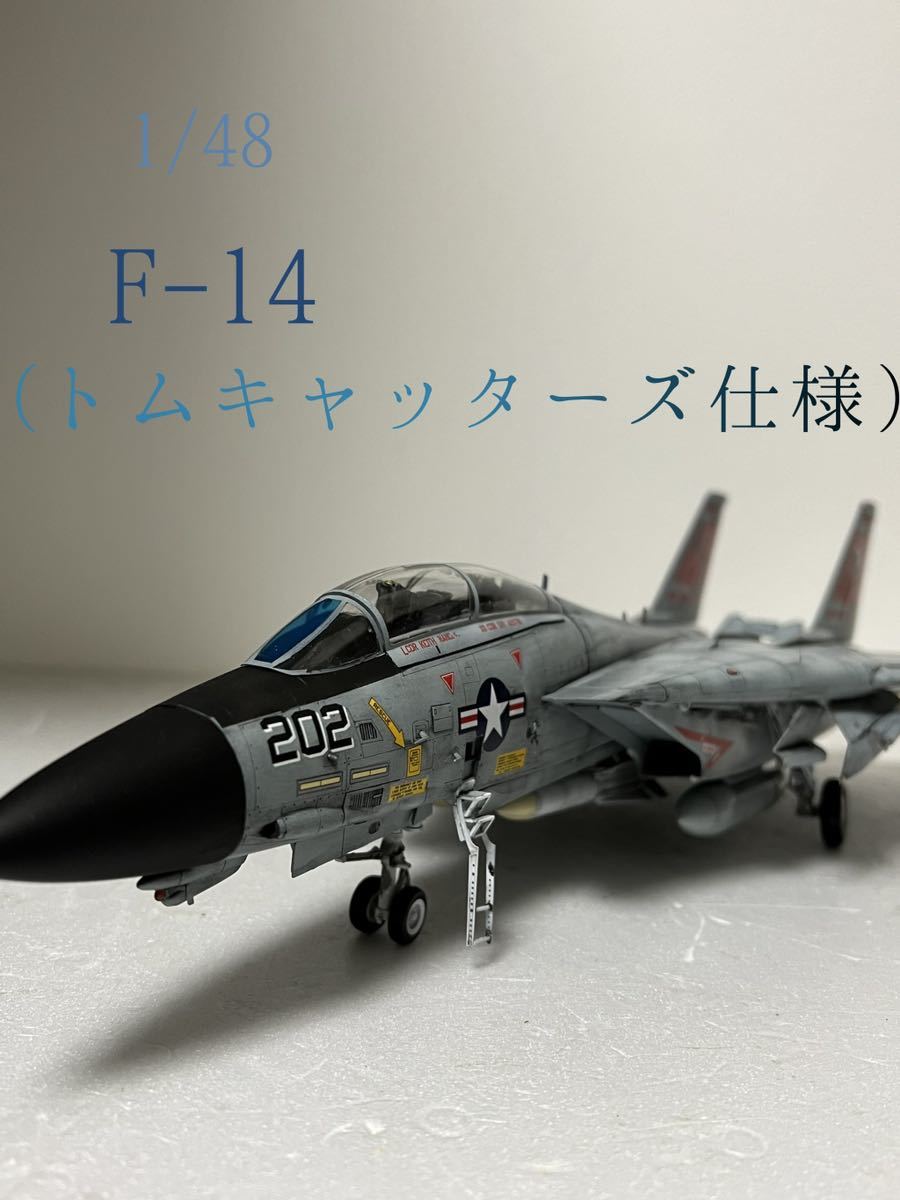 1/48 F-14 (トムキャッターズ仕様) 塗装完成品 1/48 F-14 (トムキャッターズ仕様) 塗装完成品