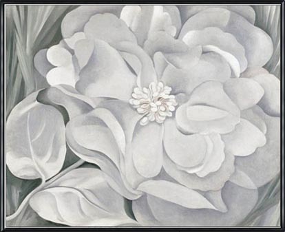 The White Calico Flower 1931（ジョージア オキーフ） 額装品