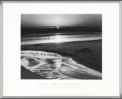 Birds on A Beach 1966/アンセル アダムス/額装済