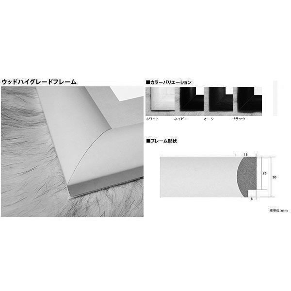 額装品/Railings(クリストファー ジョイス) 額装品/Railings(クリストファー ジョイス) Railings