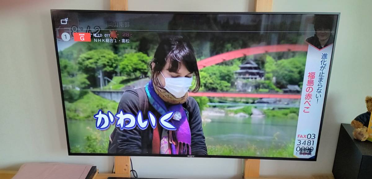 最大87%OFFクーポン SONY BRAVIA KJ-65X8500D 65V型液晶テレビ 2017年
