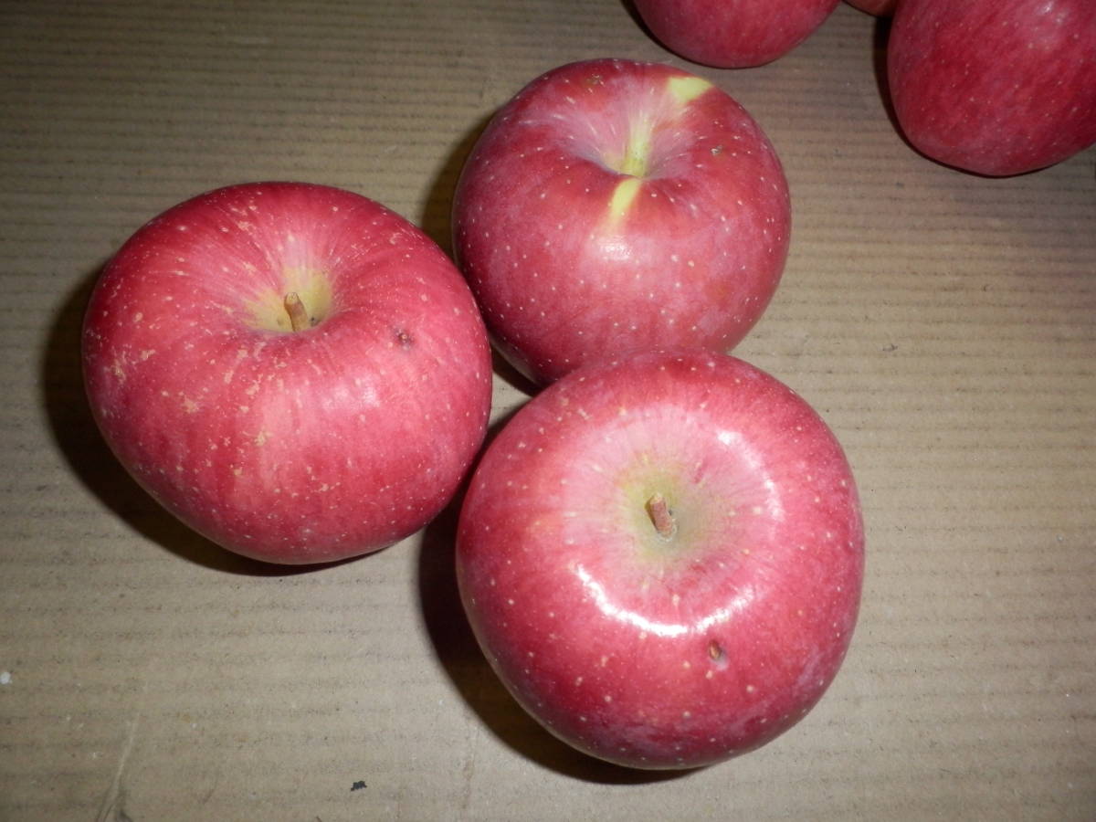 森県産りんご　3種詰合せ　ダンボール入り約10kg　キズ有り（ふじ・王林・ジョナゴールド）_画像3