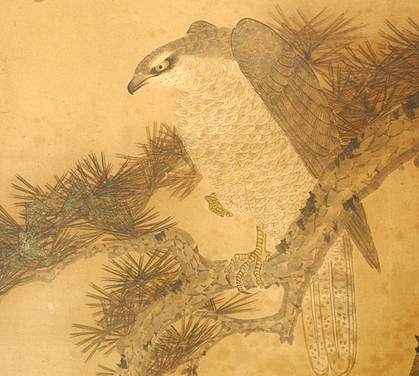 翠崖 松に鷹 鷹図 富士山 日本画 松 鷹 富士 掛け軸 掛軸 紙 翠崖 松に鷹 鷹図 富士山 日本画 松 鷹 富士 掛け軸 掛軸 紙