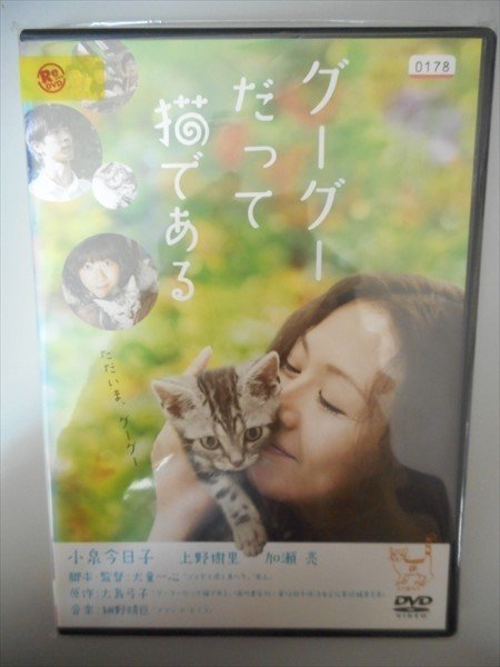DVD レンタル版 グーグーだって猫である　小泉今日子　上野樹里　加瀬亮_画像1