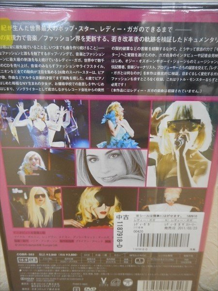 DVD レンタル版 レディー・ガガ | ザ・ストーリー LADY GAGA one sequin at a time　日本語字幕あり_画像2