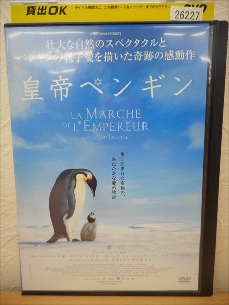 DVD レンタル版 ドキュメント　皇帝ペンギン/2_画像1