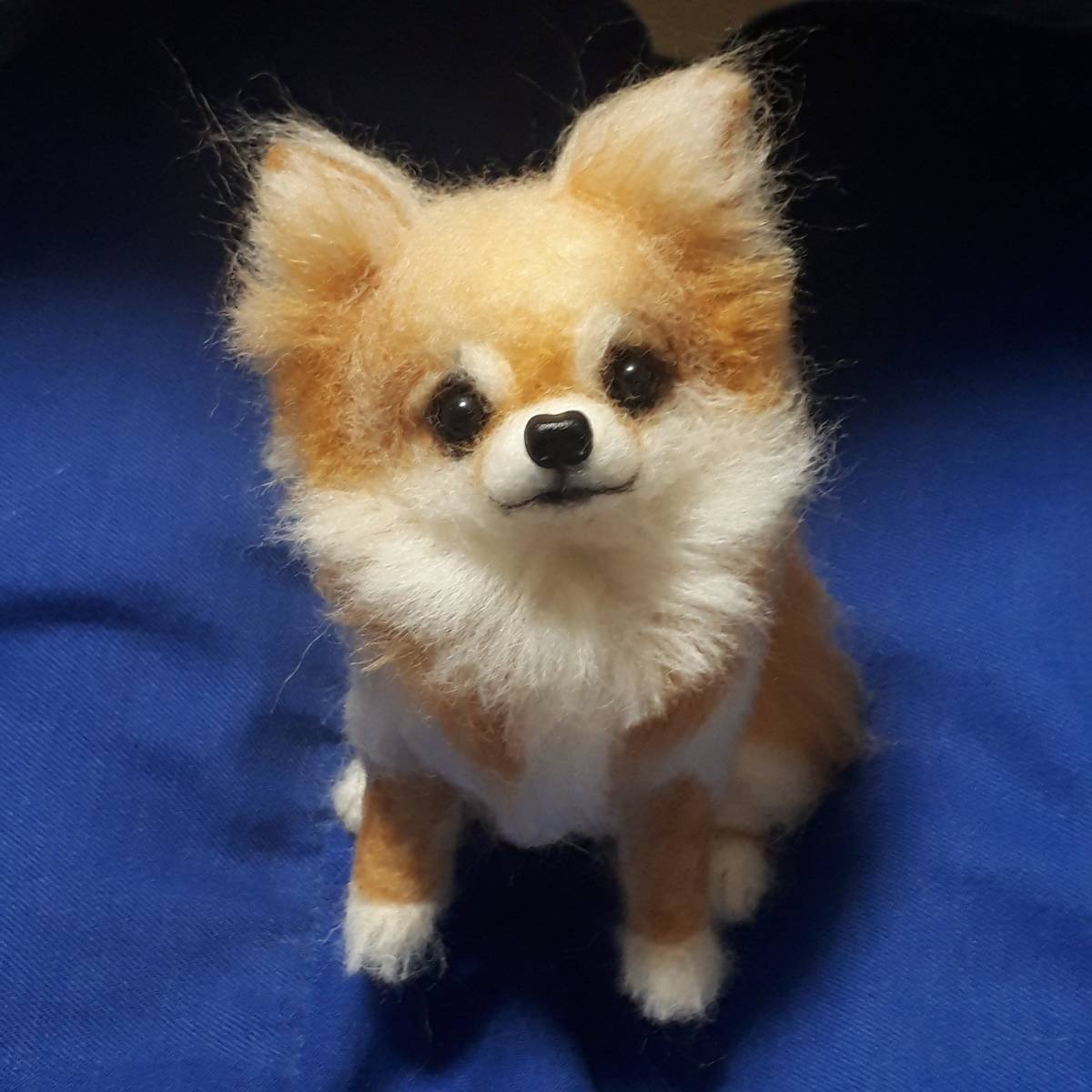 Yahoo!オークション - 羊毛フェルト 犬 チワワ Yahoo!オークション - 羊毛フェルト 犬 チワワ