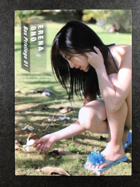 小野恵令奈　HIT'ｓ 2009　BOX 01　ボックスカード　AKB48　水着　グラビア アイドル トレカ トレーディングカード　_画像1
