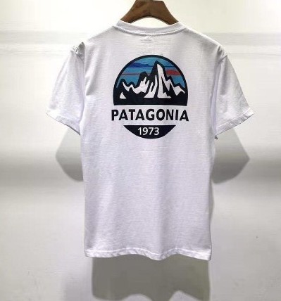 Patagonia  Tシャツ　ユニセックス　Tシャツ ホワイト　L　Tシャツ