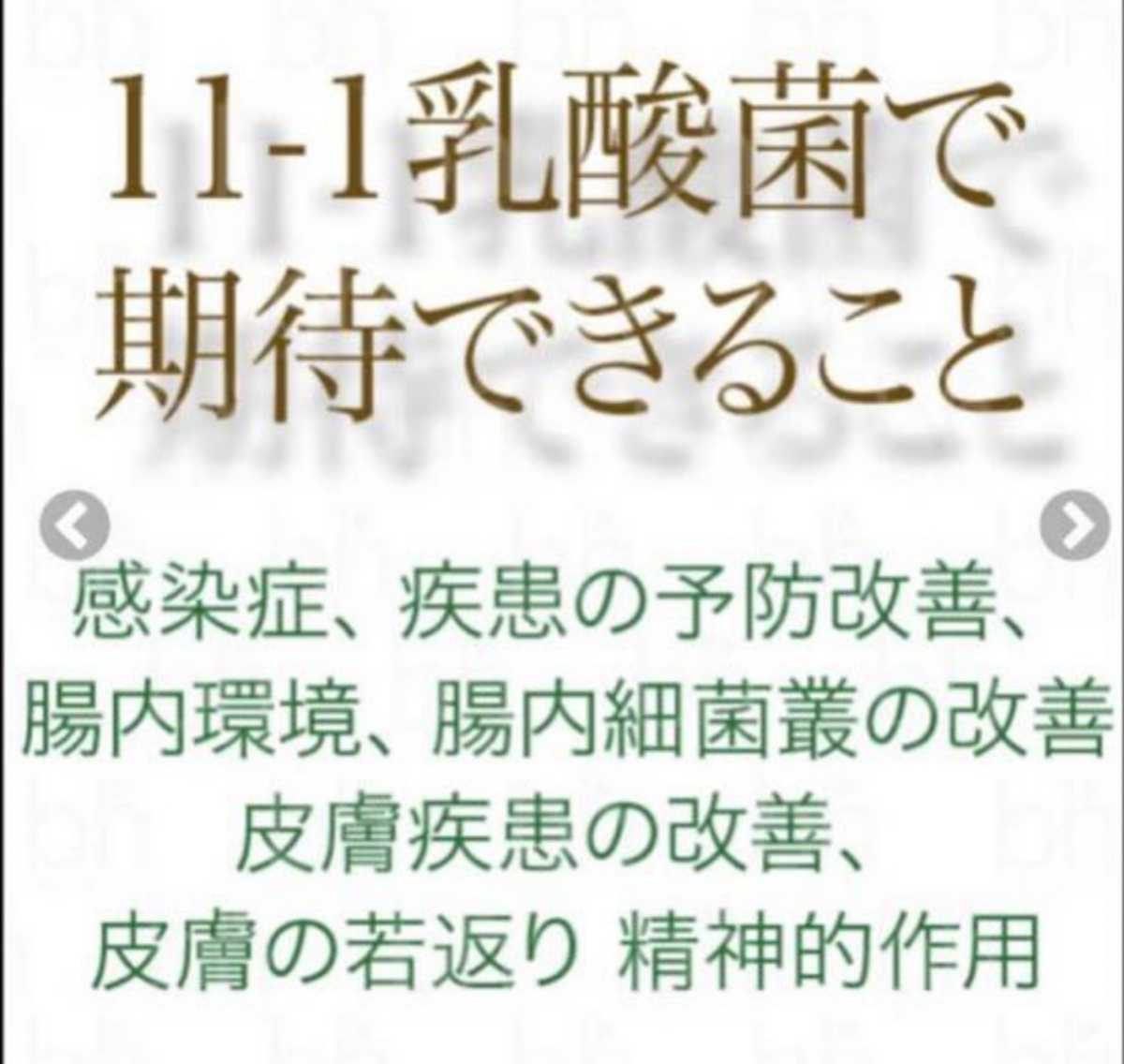 在庫新作 ヤフオク! - 11-1 乳酸菌 いちいちのいち 2... りします 価格