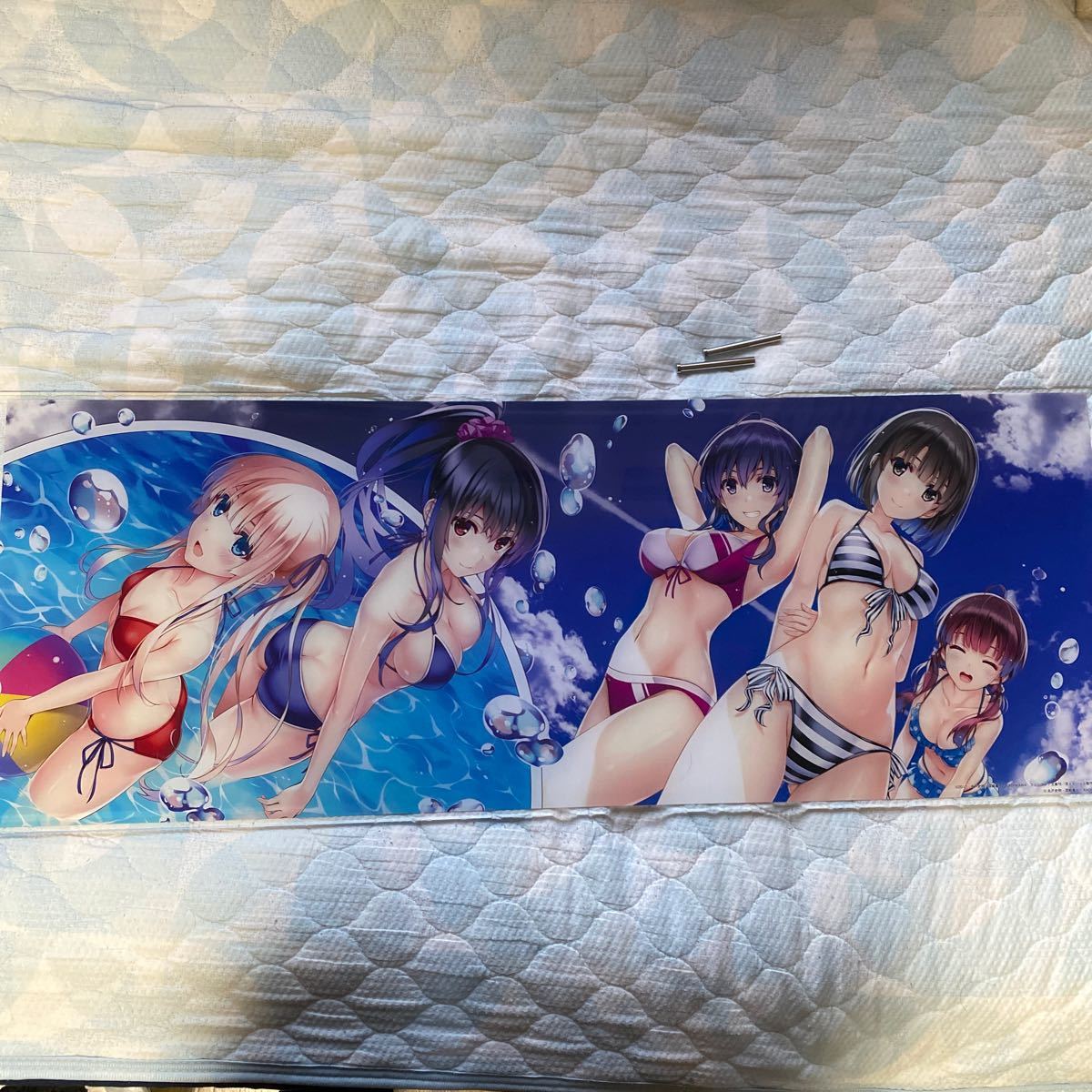 冴えない彼女の育てかた 冴えカノ 水着アクリルボード|Yahoo 冴えない彼女の育てかた 冴えカノ 水着アクリルボード|Yahoo