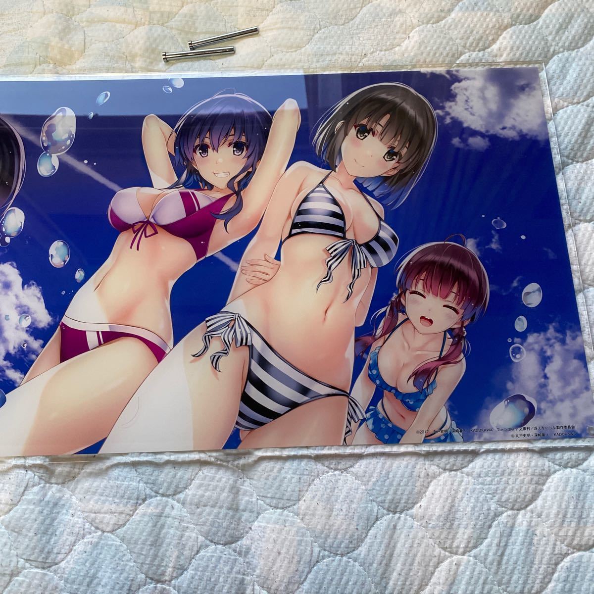 冴えない彼女の育てかた 冴えカノ 水着アクリルボード|Yahoo 冴えない彼女の育てかた 冴えカノ 水着アクリルボード|Yahoo