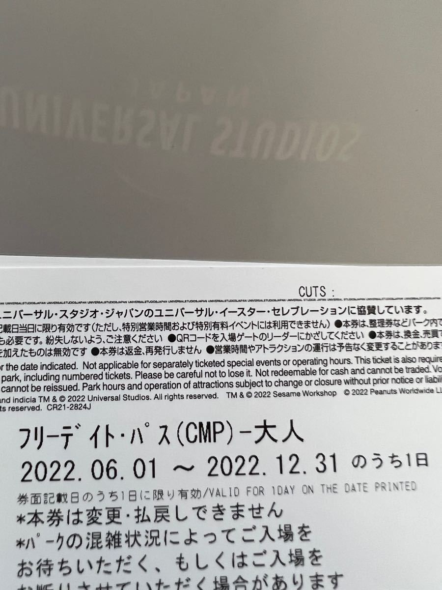USJ ユニバーサルスタジオジャパン フリーデイトパス 2枚組
