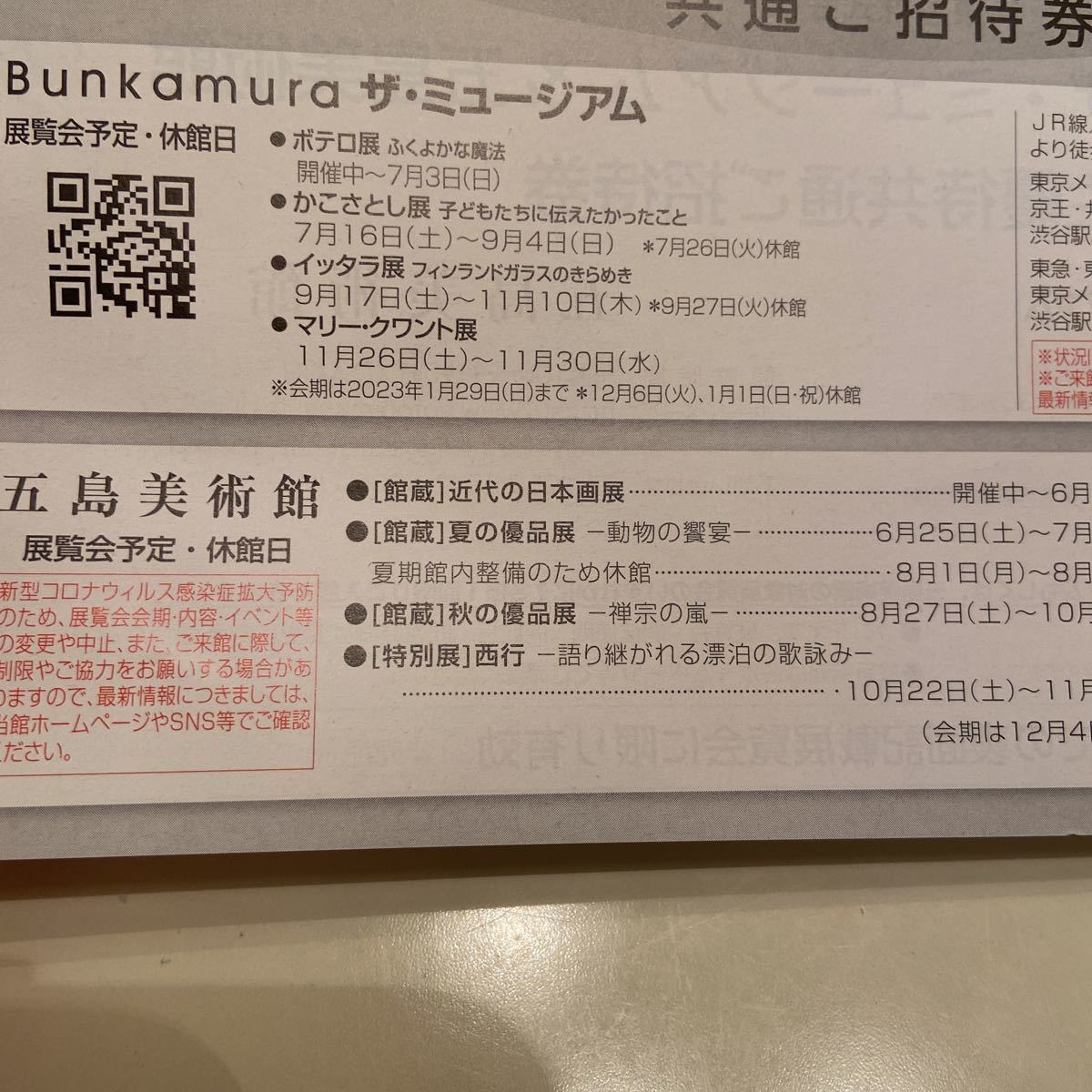 ザミュージアム Bunkamura 株主優待 ご招待券　二枚組セット_画像4