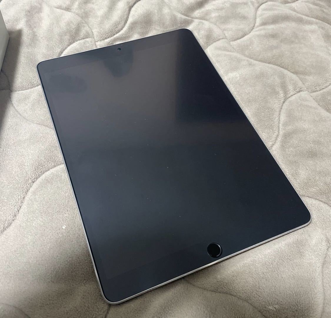 iPad Pro 10.5inch 256GB セルラー端末 美品 完動品 | contifarma.pe