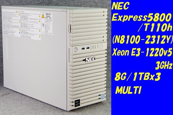 新商品 Express5800 T110h N8100-2312Y NEC Corporation Xeon