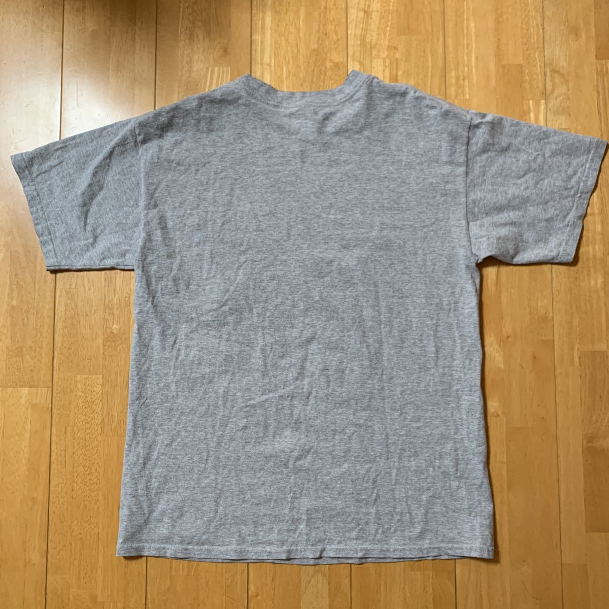 メーカー不明 Tシャツ メンズ トップス グレー MENS サイズ L 中古品 美品 1シーズン使用品 送料無料_画像2