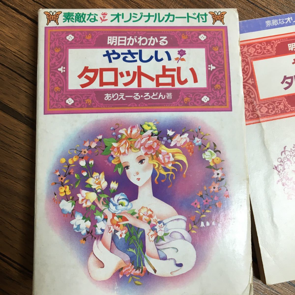 タロットカード　22枚　初心者にも　やさしい説明書付き　ありえーるろどん