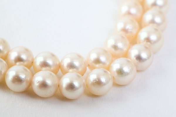 【SALE/37%OFF】 SILVER パール 本真珠 シルバー 小田急 Odakyu 6mm ネックレス その他