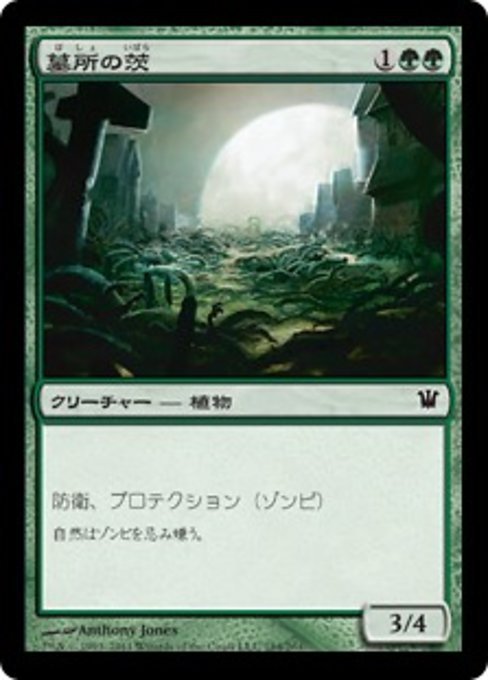 MTG ■緑/日本語版■《墓所の茨/Grave Bramble》★FOIL★ イニストラード ISD_画像1