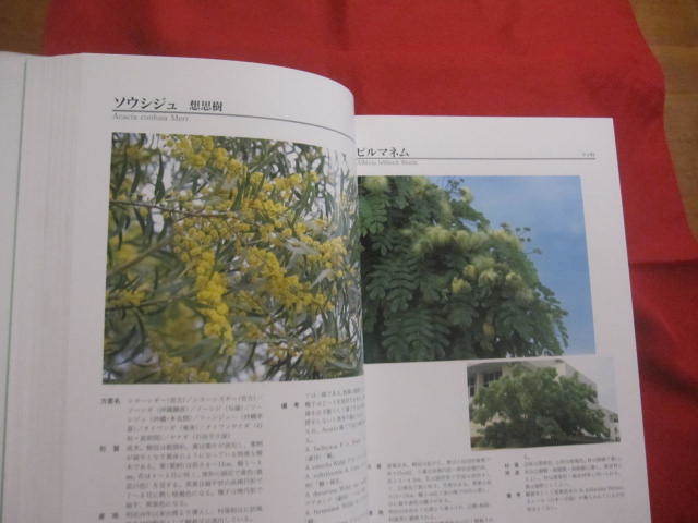 Bibian 比比昂- 図鑑琉球列島有用樹木誌天野哲夫著澤岻安喜写真 Bibian 比比昂- 図鑑琉球列島有用樹木誌天野哲夫著澤岻安喜写真